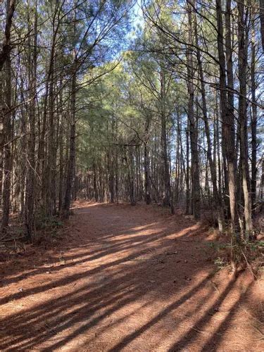 Best Hikes And Trails In Kiptopeke State Park AllTrails