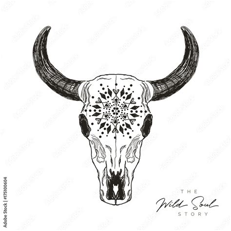 Bull Skull Illustration