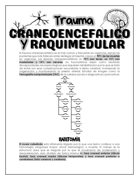 Trauma Craneoencefalico Y Raquimedular El Trauma Craneoencef Lico Es