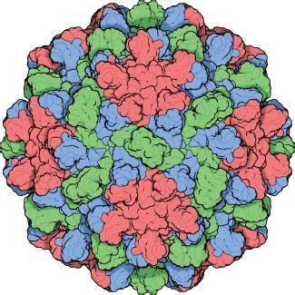 Tomato Bushy Stunt Virus Pdb Id Tbv The Structure Of Tbsv