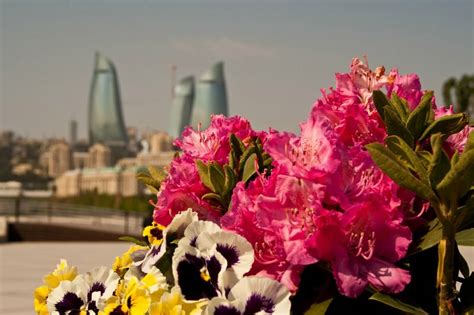 Azərbaycan Əcnəbilərin Gözü İlə | Foreigners about Azerbaijan | Page 7 ...