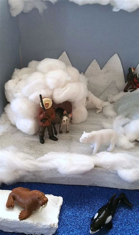 Snowy Owl Habitat Diorama