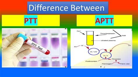 Difference Between Ptt Partial Thromboplastin Time And Kaolin