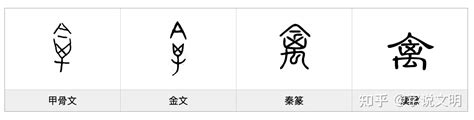 禽——每日一字·隹部字 知乎