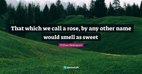 That Which We Call A Rose By Any Other Name Would Smell As Sweet