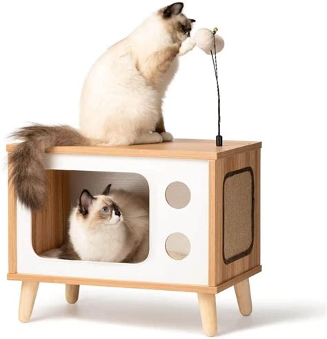 7 Unique Luxury Cat Furniture Pieces (Maine Coon Approved)