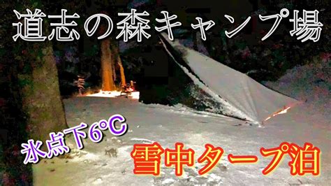 道志の森キャンプ場 パスファインダー 雪中タープ泊 ソロキャンプ Youtube