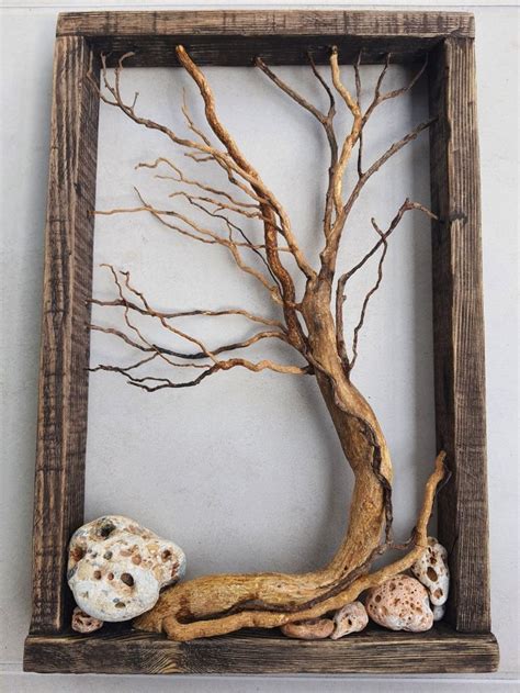 A Tree With Branches And Shells In A Wooden Frame