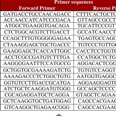 List Of Pcr Primers Designed Using Ncbiprimer Blast Program Download