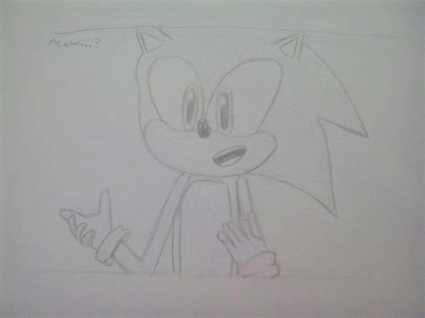 Meow Sonic The Hedgehog Amino