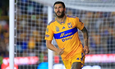 Tigres Rumores Altas Y Bajas Del Torneo Clausura