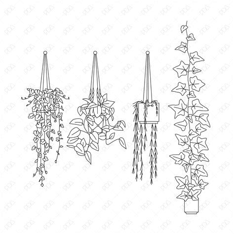 CAD and Vector Hanging Plants Set (Front + Side view)