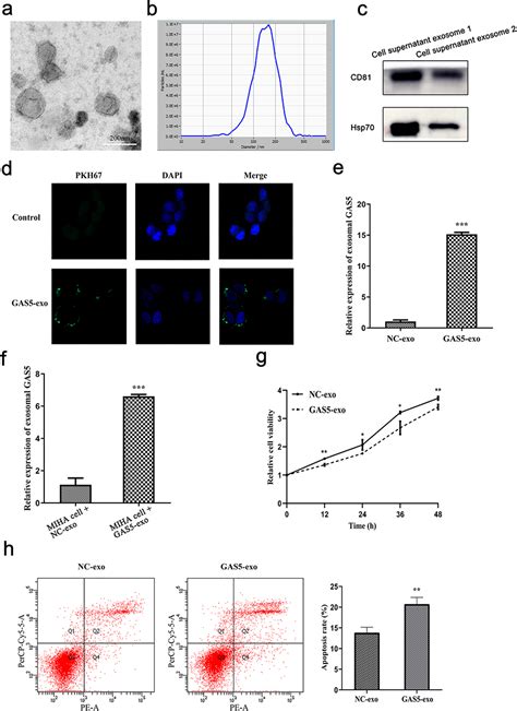 Serum Exosomal Long Non Coding Rna Growth Arrest Specific 5 Jir