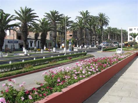 Tacna (Peru) (Italiano)