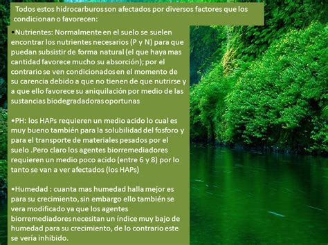 BIORREMEDIACION DE SUELOS CONTAMINACION POR HAPS Ppt Descargar