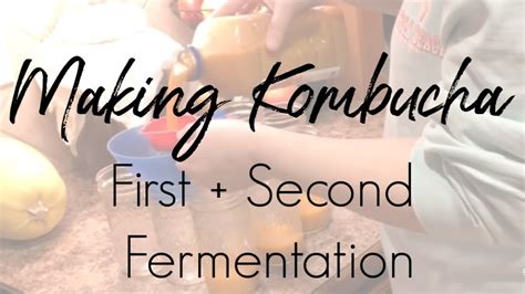 Making Kombucha First And Second Fermentation Youtube