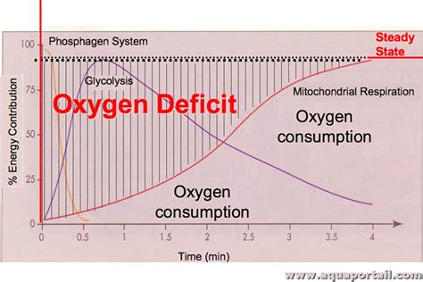 Asphyxie définition et explications