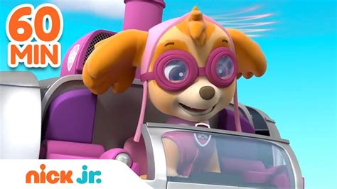 PAW Patrol Skye Is Ready To Fly W Coral Chase 60 Minute