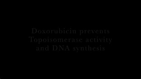 Doxorubicin Mechanism Of Action On Make A