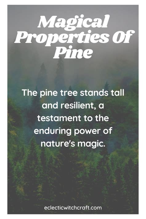 The Magical Properties Of Pine Pine Uses In Witchcraft Eclectic