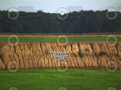 Erosione Del Suolo Erosione Idrica Fenomeni Di Erosione Rocce E