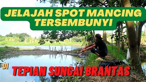 Menjelajah Spot Mancing Tersembunyi Di Tepian Sungai Brantas Youtube