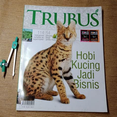 Jual Majalah Trubus Edisi Bisnis Kucing Shopee Indonesia