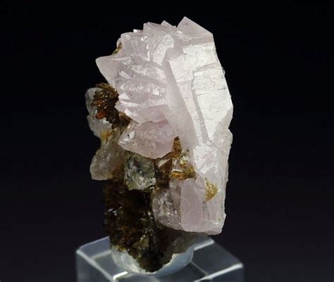 Quebul Fine Minerals Archive EOSPHORITE QUARTZ Var ROSE QUARTZ