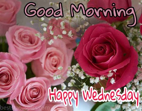 53 Good Morning Happy Wednesday Wishes Images Hd 2022 Best Status Pics