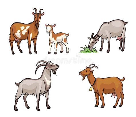 Set Of Different Goats Vector Illustration Stock Vector