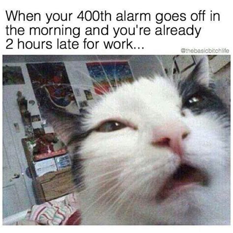 30 Funny Work Memes for Any Office Situation — Best Life