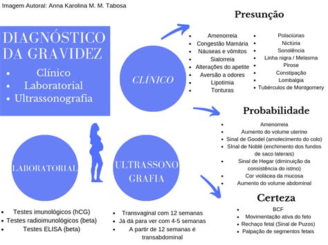 O Que é Presunção De Gravidez RETOEDU