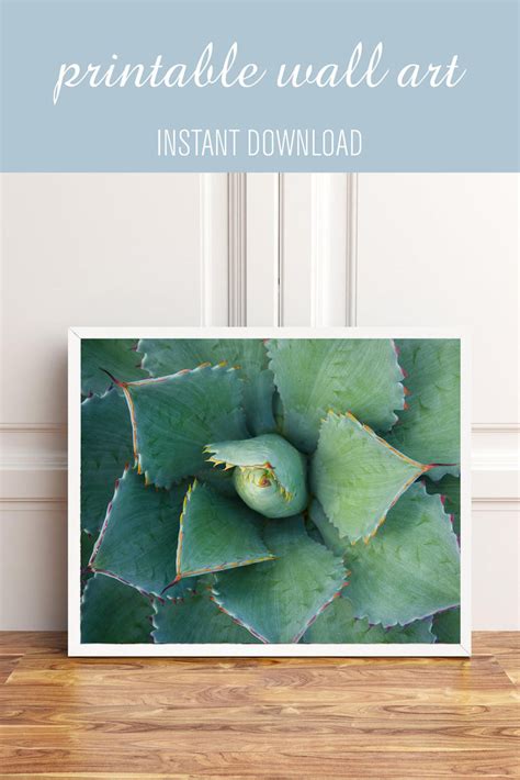 Printable Wall Art Succulent Instant Download April Bern Art