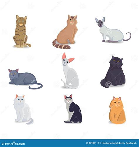 Collection Cats of Different Breeds. Vector Isolated Cat on White