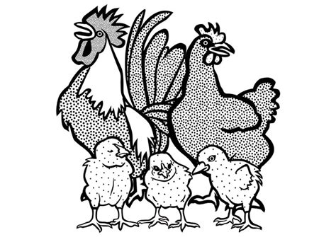 Coloriage Coq Poule Et Poussins Coloriages Gratuits Imprimer