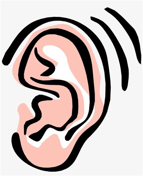 Ears Clip Art Clipart Free To Use Resource Wikiclipart Porn Sex Picture