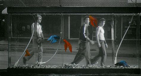 Francis Ford Coppola S Rumble Fish Reigns On Criterion Blu Ray