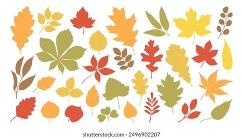 Set Autumn Leaves Different Trees Oak Stock Vector (Royalty Free ...