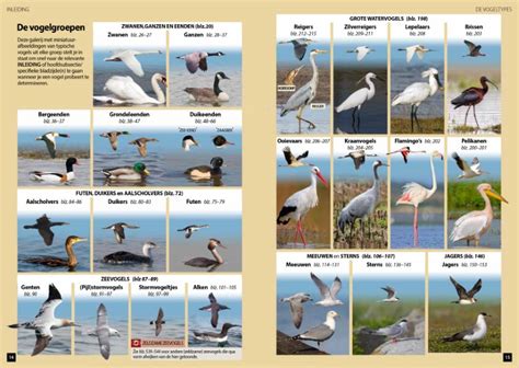 Vogels Van Europa De Meest Complete Fotogids Webshop