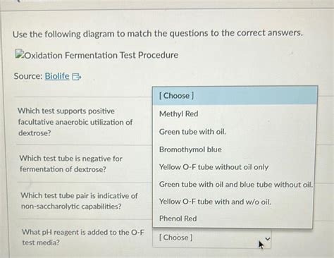 Answered Use The Following Diagram To Match The Questions To The Kunduz