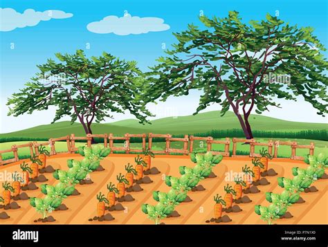 Vegetable Farming In The Rural Area Illustration Stock Vector Image