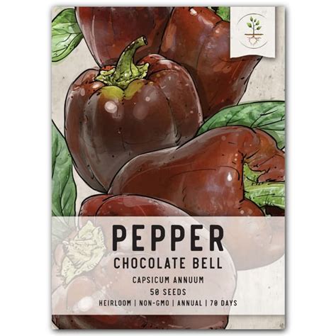 Chocolate Bell Pepper Seeds For Planting Capsicum Annuum Seed Needs