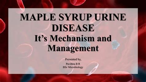 Maple Syrup Urine Disease Ppt