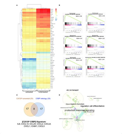 Gene Expression Profile In Rcc Cells After Il Stimulation A Heat