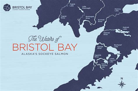 Foodservice - Bristol Bay Sockeye Salmon