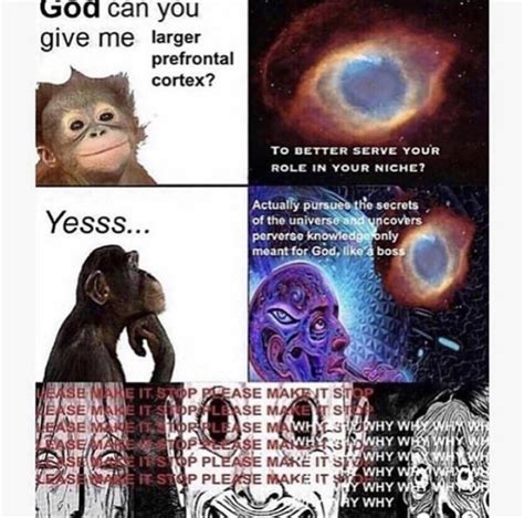 Monke Retar R Okbuddyretard Evolution Can You Give Me Wings Know