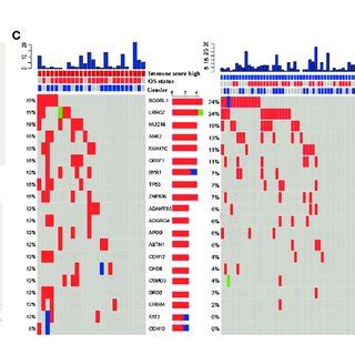 Screening Of Differentially Expressed Immune Related Genes And