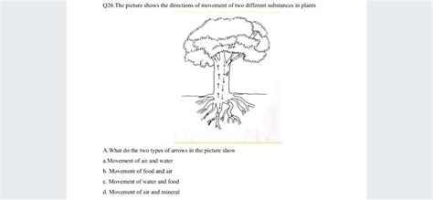 Q The Picture Shows The Directions Of Movement Of Two Different