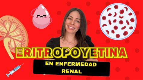 Eritropoyetina En Enfermedad Renal Cr Nica Qu Es C Mo Se Usa