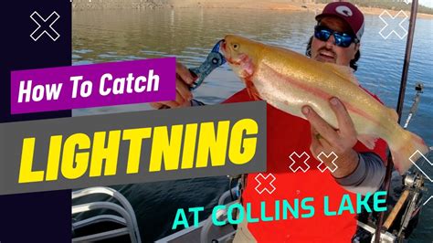 Collins Lake Report How To Catch Trophy Lightning Trout Youtube